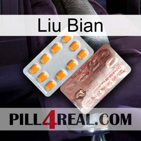 Liu Bian new13.jpg